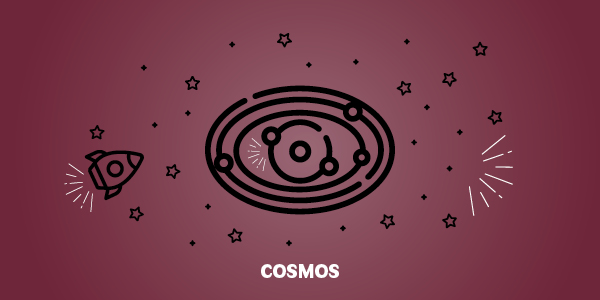 4-Cosmos
